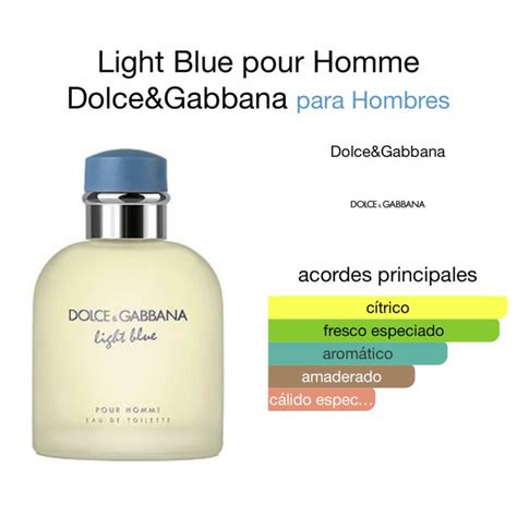 dolce gabbana notas